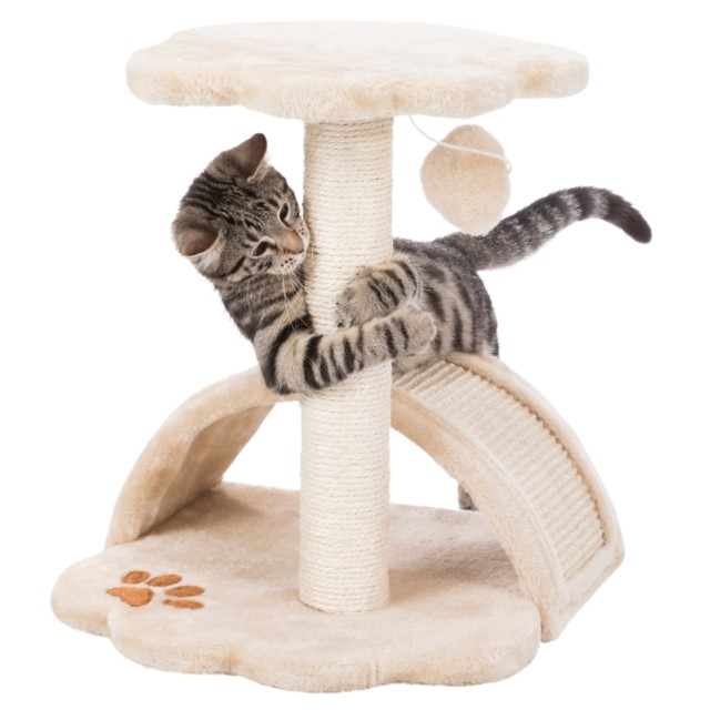 Jr Vitoria  43Cm Beige