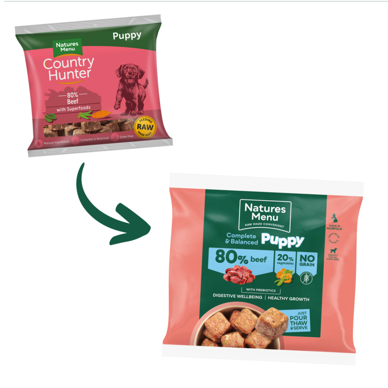 Puppy 80/20 Complete and Balanced  Turkey & Fish 1kg