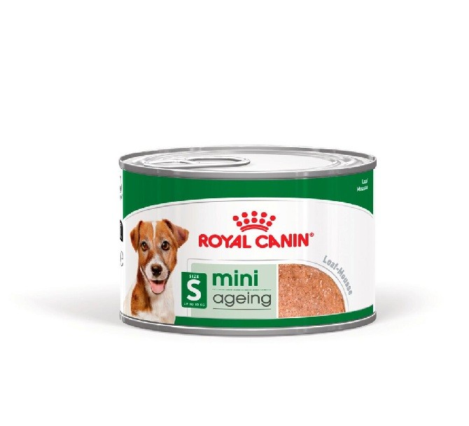 Royal Canin Mini Ageing Loaf 195g Can