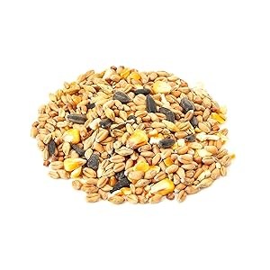 The Pet Cabin Wild Bird Small Bag