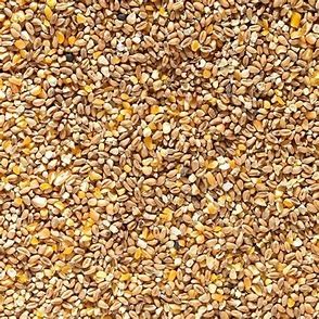 The Pet Cabin Chicken Corn Extra Medium bag