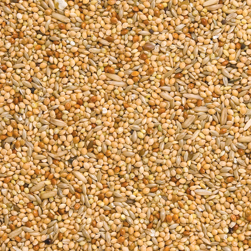 The Pet Cabin Budgie Mix Large Bag