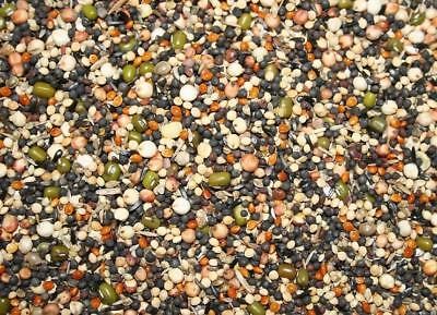 The Pet Cabin Soak Seed Small Bag