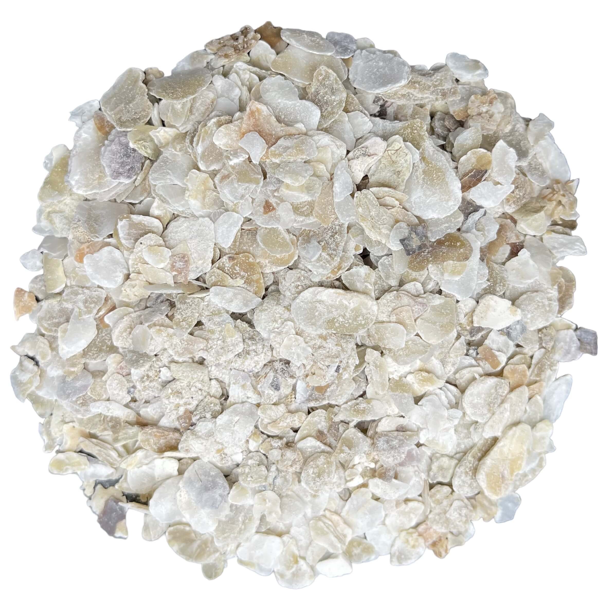 The Pet Cabin Coarse Oyster Shell Small Bag