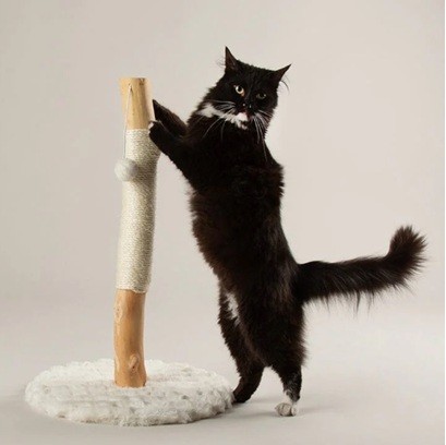 Scruffs Rockies Cat Tree - Cream