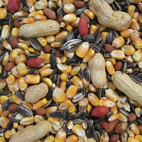 The Pet Cabin Squirrel Mix Large