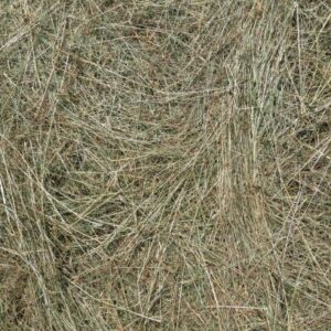 The Pet Cabin Small Hay Pre Pack