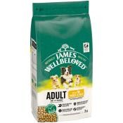 James Wellbeloved 2kg Adult Turkey