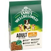 James Wellbeloved 15kg Adult Turkey