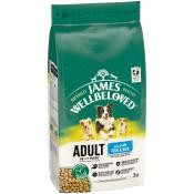 James Wellbeloved 2kg Adult Fish