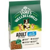 James Wellbeloved 15kg Adult Fish
