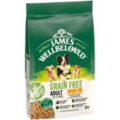 James Wellbeloved 10kg G.F Adult Turkey